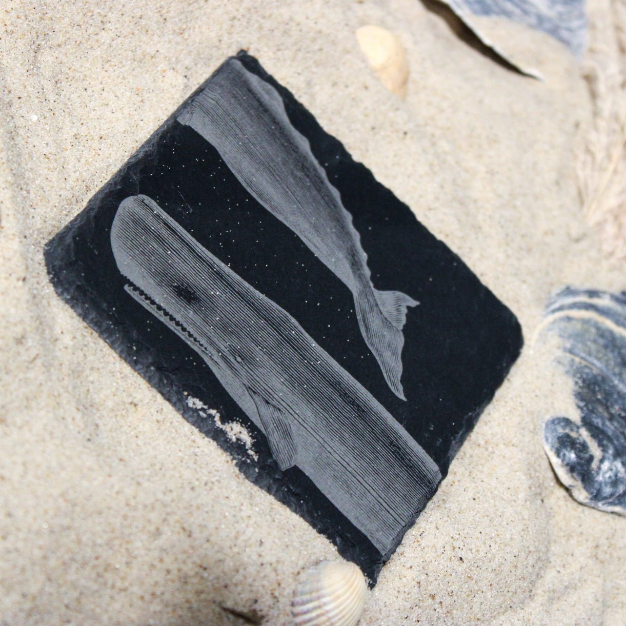 Untersetzer aus Schiefer "Pottwal" | 10x10cm - INSELLIEBE USEDOM